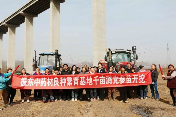 3868laÒøºÓ×ÜÕ¾,3868laÒøºÓ×ÜÕ¾ÖÐÒ©²Ä,ÖÐÒ©²Ä 3868laÒøºÓ×ÜÕ¾,3868laÒøºÓ×ÜÕ¾ÖÐÒ©²Ä,ÖÐÒ©²Ä