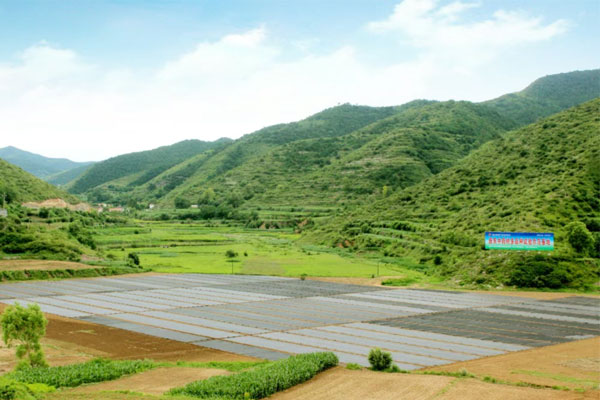 3868laÒøºÓ×ÜÕ¾,3868laÒøºÓ×ÜÕ¾ÖÐÒ©²Ä,ÖÐÒ©²Ä 3868laÒøºÓ×ÜÕ¾,3868laÒøºÓ×ÜÕ¾ÖÐÒ©²Ä,ÖÐÒ©²Ä