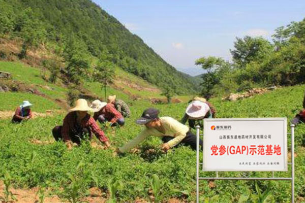 3868laÒøºÓ×ÜÕ¾,3868laÒøºÓ×ÜÕ¾ÖÐÒ©²Ä,ÖÐÒ©²Ä 3868laÒøºÓ×ÜÕ¾,3868laÒøºÓ×ÜÕ¾ÖÐÒ©²Ä,ÖÐÒ©²Ä