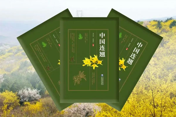 Á¬ÇÌ,ÖйúÁ¬ÇÌ Á¬ÇÌ,ÖйúÁ¬ÇÌ